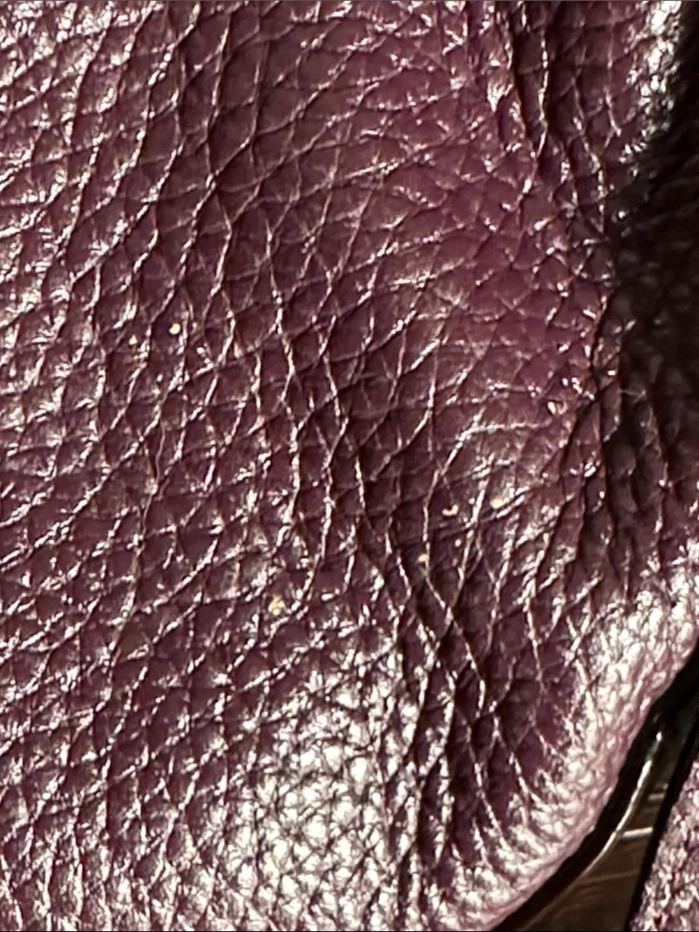 Kate Spade Oliver Street Lilly crossbody bag in Plum Pebbled Leather
